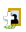 kruis